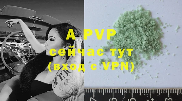 тгк Белокуриха